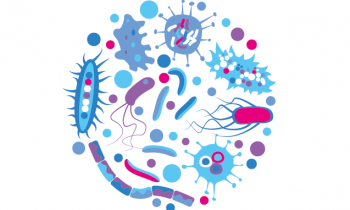 Première campagne sur l'importance des microbiotes pour notre santé